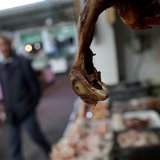 A chicken is seen at a local market in Minhang district, south of Shanghai April 3, 2013. REUTERS/Carlos Barria A chicken is seen at a local market in Minhang district, south of Shanghai April 3, 2013. REUTERS/Carlos Barria