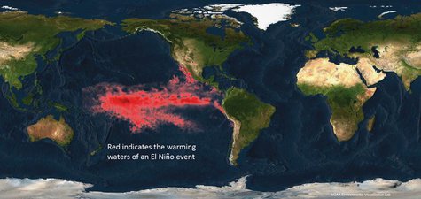 The National Oceanic and Atmospheric Administration (NOAA) image shows the warming waters of an El Nino event in the Pacific Ocean in this i The National Oceanic and Atmospheric Administration (NOAA) image shows the warming waters of an El Nino event in the Pacific Ocean in this i