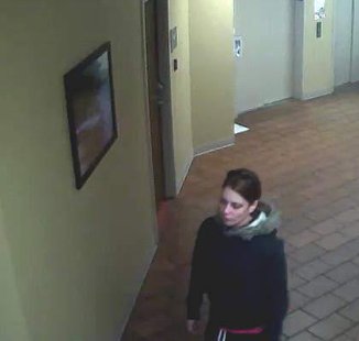 theft suspects pic 3 theft suspects pic 3