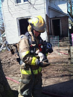 Public Safety Officer rescues kitten. Fire gutted home in the background. Public Safety Officer rescues kitten. Fire gutted home in the background.