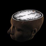 An undated image of the human brain taken through scanning technology. REUTERS/Sage Center for the Study of the Mind, University of Californ An undated image of the human brain taken through scanning technology. REUTERS/Sage Center for the Study of the Mind, University of Californ