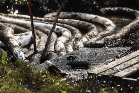 Spilled crude oil is seen in a drainage ditch near Starlite Road in Mayflower, Arkansas March 31, 2013. REUTERS/Jacob Slaton Spilled crude oil is seen in a drainage ditch near Starlite Road in Mayflower, Arkansas March 31, 2013. REUTERS/Jacob Slaton