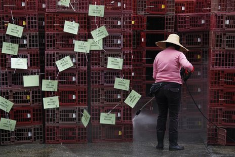 A worker cleans empty cages, which were used to transport chickens, after morning trading at a wholesale poultry market in Hong Kong April 8 A worker cleans empty cages, which were used to transport chickens, after morning trading at a wholesale poultry market in Hong Kong April 8