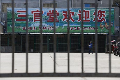 A boy plays inside a closed chicken market in Shanghai April 10, 2013. The death toll in China from a new strain of bird flu rose to nine on A boy plays inside a closed chicken market in Shanghai April 10, 2013. The death toll in China from a new strain of bird flu rose to nine on