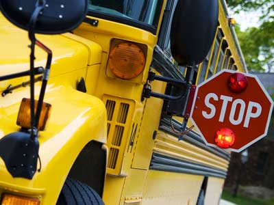 school bus school bus