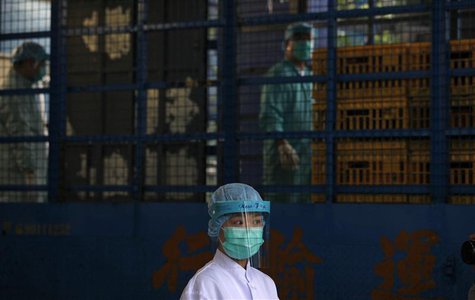 Officials from the Centre for Food Safety check chickens transported by a truck from mainland China at a border checkpoint in Hong Kong Apri Officials from the Centre for Food Safety check chickens transported by a truck from mainland China at a border checkpoint in Hong Kong Apri