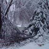 Ice and snow have toppled trees throughout Sioux Falls 4/12/13 - KELO file photo Ice and snow have toppled trees throughout Sioux Falls 4/12/13 - KELO file photo