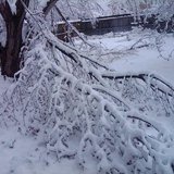Ice storm damage is widespread throughout Sioux Falls 4/12/13 - KELO file photo