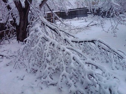 Ice storm damage is widespread throughout Sioux Falls 4/12/13 - KELO file photo Ice storm damage is widespread throughout Sioux Falls 4/12/13 - KELO file photo