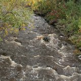 River
River