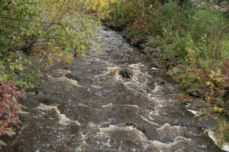 River
River