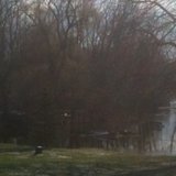 Flooding of Coldwater River
