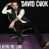Image courtesy of Image Courtesy David Cook via Amazon.com (via ABC News Radio)