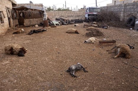 Animal carcasses lie on the ground, killed by what residents said was a chemical weapon attack on Tuesday, in Khan al-Assal area near the no Animal carcasses lie on the ground, killed by what residents said was a chemical weapon attack on Tuesday, in Khan al-Assal area near the no