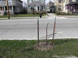 Oshkosh police say this is one of several trees that were damaged during an April 13, 2013 pub crawl. (courtesy of the Oshkosh Police Dept.) Oshkosh police say this is one of several trees that were damaged during an April 13, 2013 pub crawl. (courtesy of the Oshkosh Police Dept.)