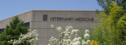 U of I Vet School
U of I Vet School