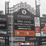 Detroit Tigers