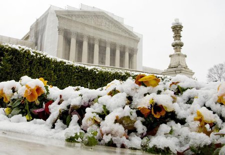 Snow covers flowers in front of the Supreme Court building in Washington, March 25, 2013. REUTERS/Jonathan Ernst Snow covers flowers in front of the Supreme Court building in Washington, March 25, 2013. REUTERS/Jonathan Ernst