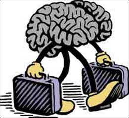 brain drian brain drian