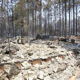 Wildfire damage Wildfire damage