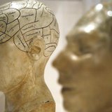 Plaster phrenological models of heads, showing different parts of the brain, are seen at an exhibition in London March 27, 2012. REUTERS/Chr Plaster phrenological models of heads, showing different parts of the brain, are seen at an exhibition in London March 27, 2012. REUTERS/Chr