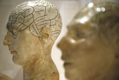 Plaster phrenological models of heads, showing different parts of the brain, are seen at an exhibition in London March 27, 2012. REUTERS/Chr Plaster phrenological models of heads, showing different parts of the brain, are seen at an exhibition in London March 27, 2012. REUTERS/Chr
