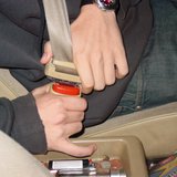 seatbelt seatbelt