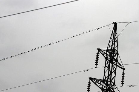 Birds perch on power lines above farmland near Tirana January 14, 2013. REUTERS/Arben Celi Birds perch on power lines above farmland near Tirana January 14, 2013. REUTERS/Arben Celi
