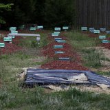 Graves are seen at Al-Barzakh Islamic Cemetery in Doswell, Virginia, May 10, 2013. REUTERS/Yuri Gripas Graves are seen at Al-Barzakh Islamic Cemetery in Doswell, Virginia, May 10, 2013. REUTERS/Yuri Gripas