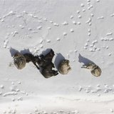 A wolf pack is pictured bedded down in the snow in Yellowstone National Park in this March 2007 photograph obtained on May 4, 2011. REUTERS/