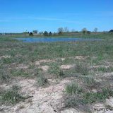 The site of the former Fox Valley Racetrack in Kaukauna, Monday, May 13, 2013. (courtesy of FOX 11). The site of the former Fox Valley Racetrack in Kaukauna, Monday, May 13, 2013. (courtesy of FOX 11).