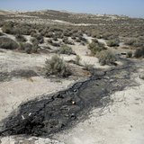 A naturally occurring oil seep is seen in McKittrick, California, April 29, 2013. REUTERS/Lucy Nicholson