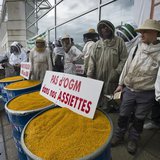 French beekeepers demonstrate to protest the use of genetically-modified organisms in front of French Monsanto headquarters in Bron, near Ly