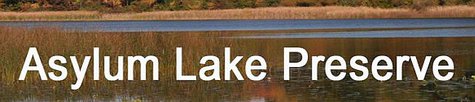 Asylum Lake Preserve Asylum Lake Preserve