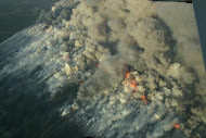 DNR photo from yesterday DNR photo from yesterday