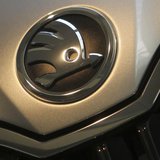 Skoda's logo is seen on a car after a presentation of the company's annual results in Mlada Boleslav March 20, 2013. REUTERS/David W Cerny