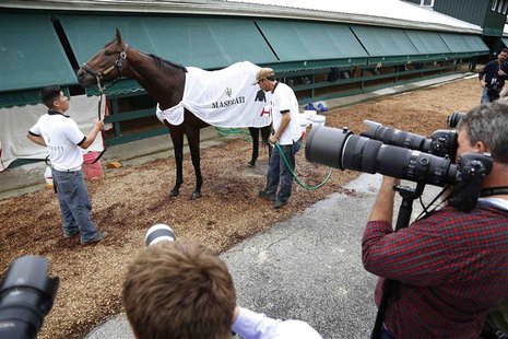 Photographers keep an eye on Kentucky Derby winner Orb after a workout in preparation for the upcoming 138th running of the Preakness Stakes Photographers keep an eye on Kentucky Derby winner Orb after a workout in preparation for the upcoming 138th running of the Preakness Stakes