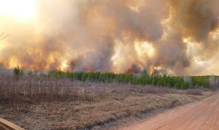 In this photo taken May 14, 2013 from Connors Meadow Road, The Germann Road Fire crowns through young red pine in Douglas County. (courtesy of the Wisconsin DNR).