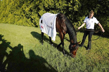 Exercise rider Jennifer Patterson grazes Kentucky Derby winner Orb after a morning workout in preparation for the upcoming 138th running of Exercise rider Jennifer Patterson grazes Kentucky Derby winner Orb after a morning workout in preparation for the upcoming 138th running of