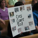 Cat funding supporters
