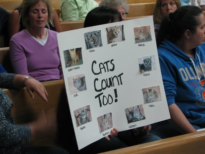 Cat funding supporters
Cat funding supporters