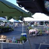 Holland Farmers Market
