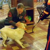 Sgt. Gundlach is reunited with Casey (Photo: Radio Iowa/Wisconsin Radio Network) Sgt. Gundlach is reunited with Casey (Photo: Radio Iowa/Wisconsin Radio Network)