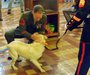 Sgt. Gundlach is reunited with Casey (Photo: Radio Iowa/Wisconsin Radio Network)