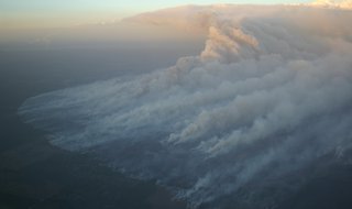 Wildfire
