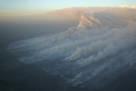 Wildfire
Wildfire