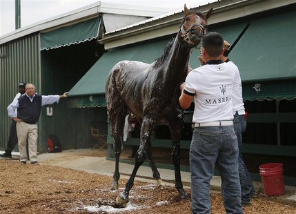 Trainer Shug McGaughey (L) looks on as Kentucky Derby winner Orb gets a post-workout bath after a little track work in preparation for the u Trainer Shug McGaughey (L) looks on as Kentucky Derby winner Orb gets a post-workout bath after a little track work in preparation for the u