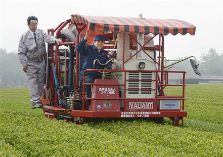 Japan's Prime Minister Shinzo Abe (C) has a go at cropping tea leaves in Kitsuki, Oita prefecture, in this photo taken by Kyodo May 18, 2013 Japan's Prime Minister Shinzo Abe (C) has a go at cropping tea leaves in Kitsuki, Oita prefecture, in this photo taken by Kyodo May 18, 2013