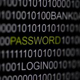 The word 'password' is pictured on a computer screen in this picture illustration taken in Berlin May 21, 2013. REUTERS/Pawel Kopczynski The word 'password' is pictured on a computer screen in this picture illustration taken in Berlin May 21, 2013. REUTERS/Pawel Kopczynski