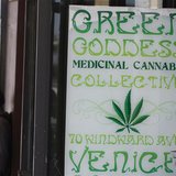 A man stands in front of a medical marijuana dispensary in Los Angeles, California, July 24, 2012. REUTERS/Jonathan Alcorn A man stands in front of a medical marijuana dispensary in Los Angeles, California, July 24, 2012. REUTERS/Jonathan Alcorn